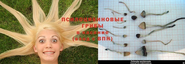 амф Балахна