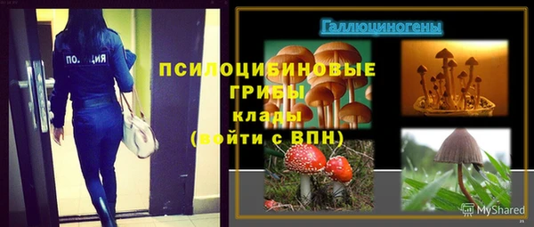 амф Балахна
