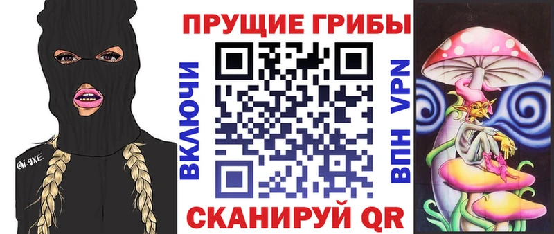 Купить  Рославль  Галлюциногенные грибы прущие грибы 